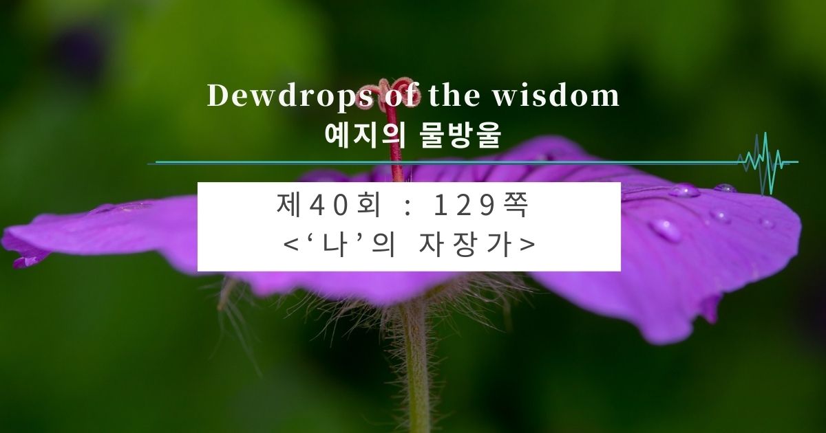 제40회 : 129쪽 <‘나’의 자장가>